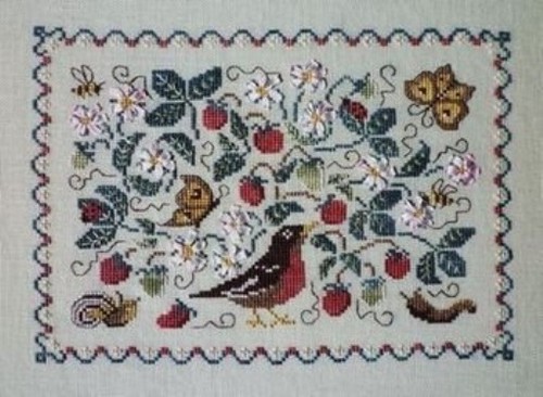 Strawberry plant bird - strawberry,