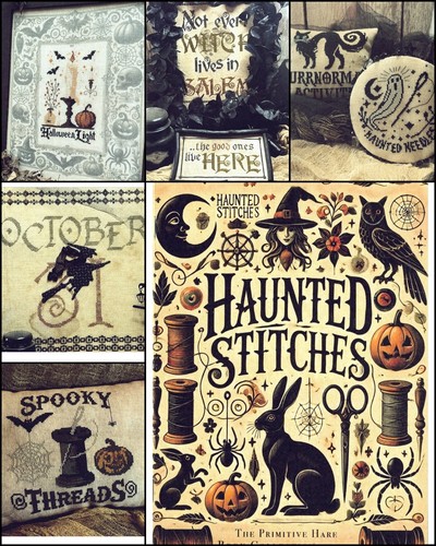 Haunted stitches book - haunted,
